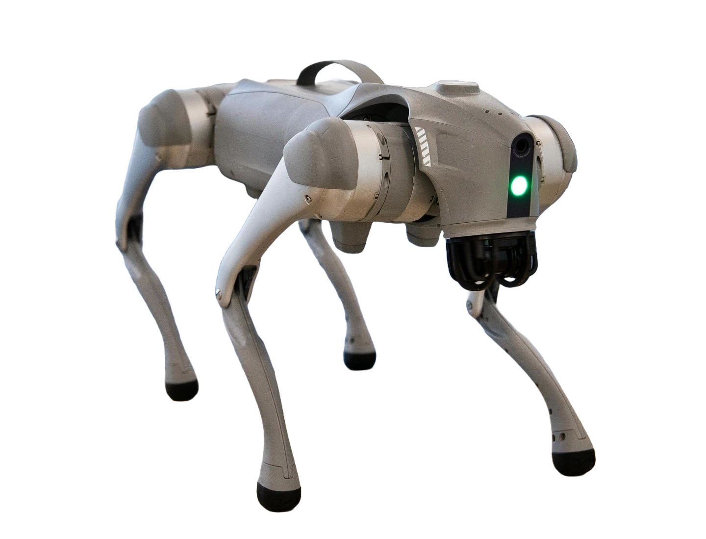 Simba, Silbury's mobile AI robotics prototype